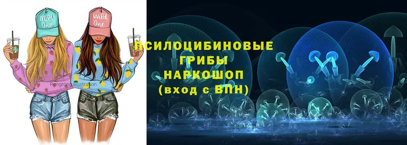 даркнет сайт  Александровск-Сахалинский  Галлюциногенные грибы Psilocybe 